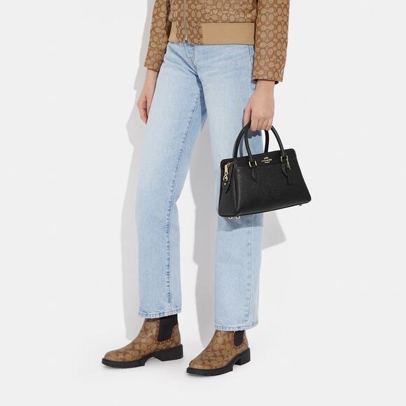 NWT Coach Outlet Mini Darcie Carryall Bag - Picture 5 of 6